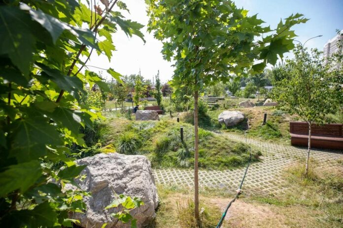 В этом году Подольск стал рекордсменом по количеству поданных заявок на областной конкурс «Лучший... В этом году Подольск стал рекордсменом по количеству поданных заявок на областной конкурс «Лучший...