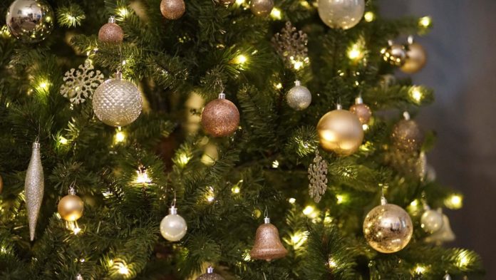 Подольчанам на заметку: что делать с елкой после Нового года