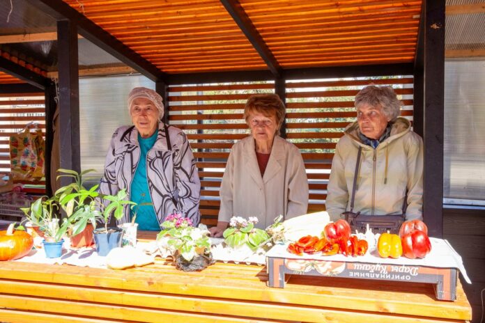 На Центральном рынке Подольска есть торговые ряды для местных садоводов На Центральном рынке Подольска есть торговые ряды для местных садоводов