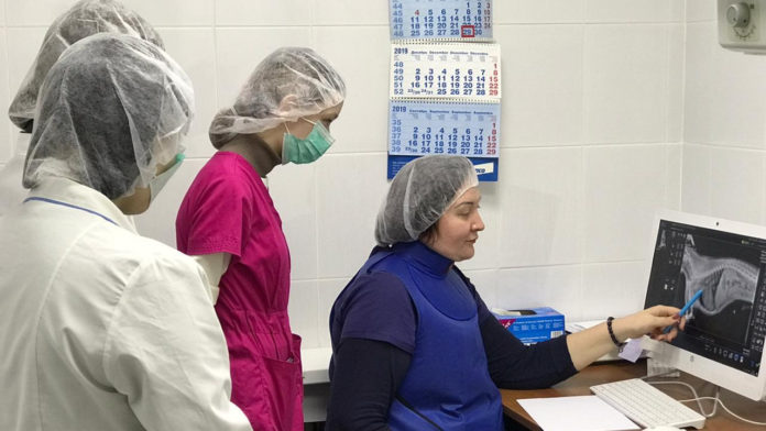 В Подмосковье стартовал прием документов на целевой набор в вузы по специальности «Ветеринария» В Подмосковье стартовал прием документов на целевой набор в вузы по специальности «Ветеринария»