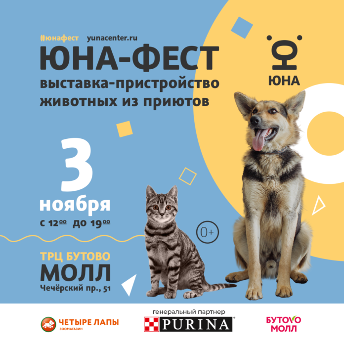Подольский центр «Юна-Фест» проводит выставку-пристройство бездомных животных 3 ноября