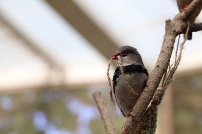 Воспитанники студии “Перспектива” стали победителями конкурса