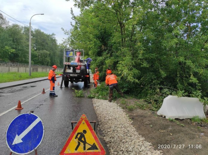 В Климовске продолжаются работы по обрезке деревьев