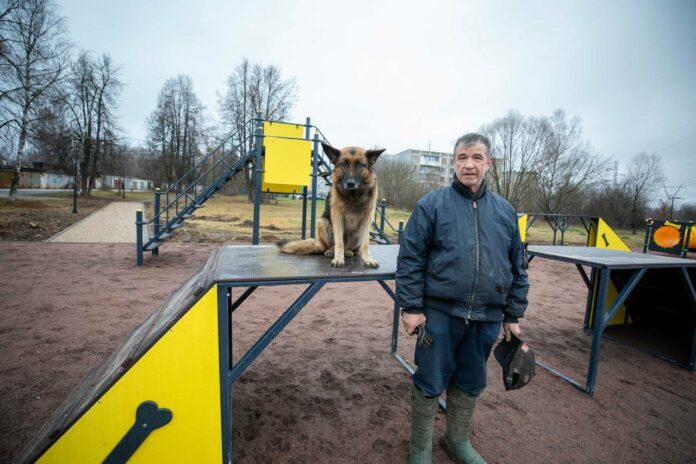 Владельцы собак обязаны соблюдать правила выгула своих питомцев в Подольске! Владельцы собак обязаны соблюдать правила выгула своих питомцев в Подольске!