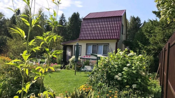 Новые правила планировки и застройки СНТ в Подмосковье обсудят на онлайн-встрече 15 мая