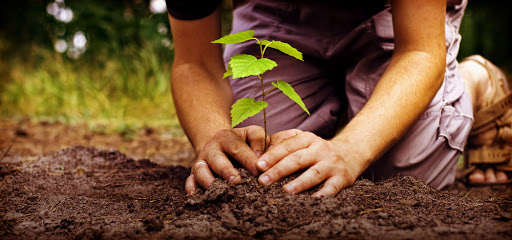 Акция “Наш лес. Посади свое дерево” состоится в Городском округе Подольск Акция “Наш лес. Посади свое дерево” состоится в Городском округе Подольск