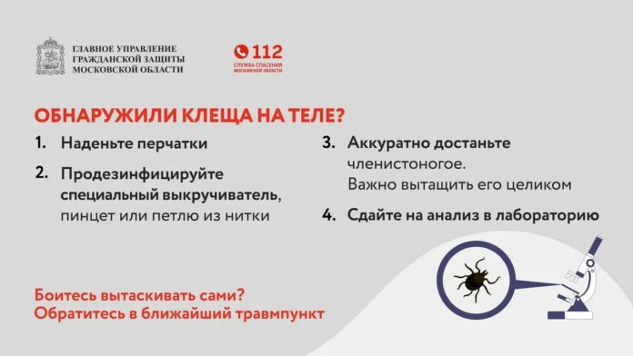 С началом весенне-летнего сезона актуальной становится проблема укусов клещей С началом весенне-летнего сезона актуальной становится проблема укусов клещей