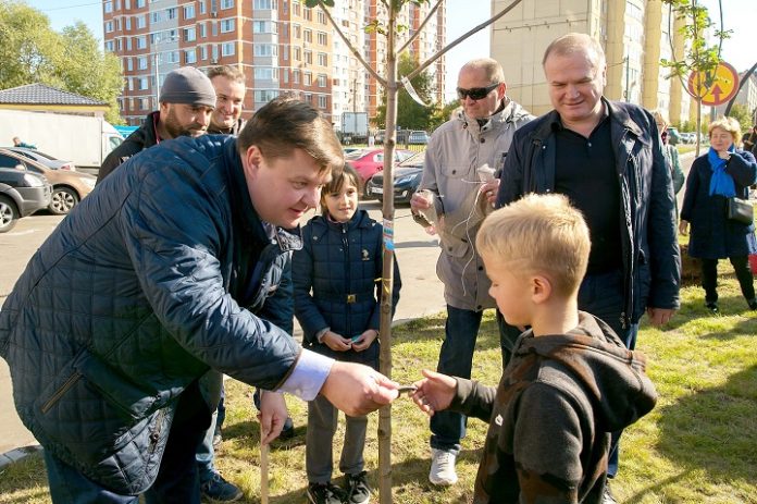 Все деревья – наши!