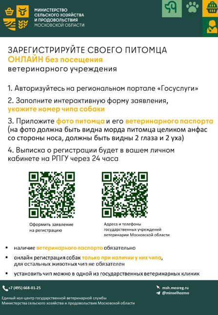 В регионе запущена онлайн-регистрация домашних животных