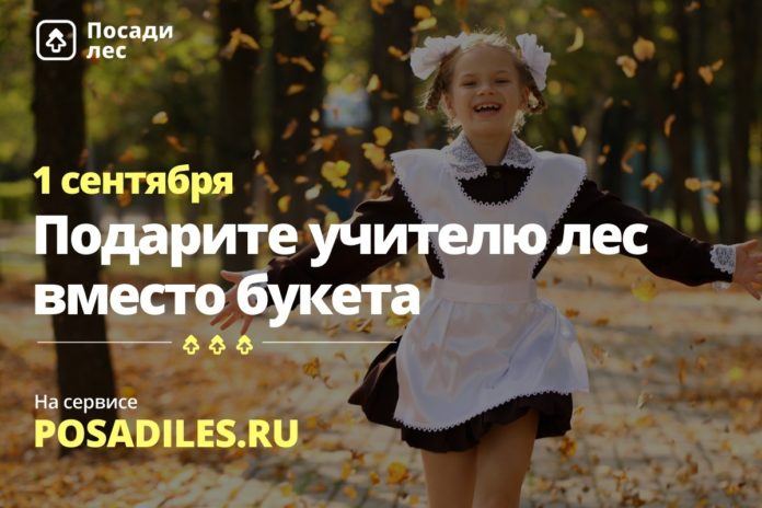 Экологическая акция «Лес вместо букета» продолжается Экологическая акция «Лес вместо букета» продолжается