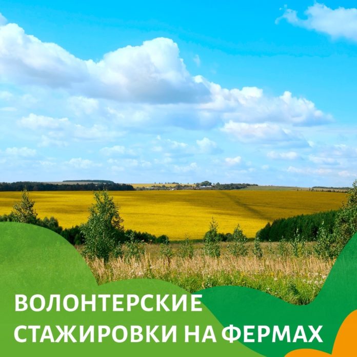 Волонтеров из Подольска для работы на фермах приглашает Минсельхоз России Волонтеров из Подольска для работы на фермах приглашает Минсельхоз России