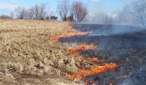 О соблюдении противопожарного режима в границах полос отвода и охранных зон путепроводов — «Приокское...