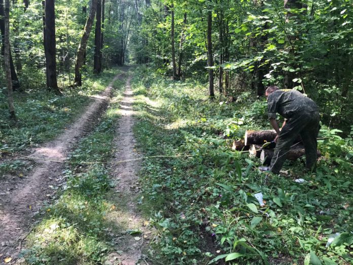 Возле деревни Курниково расчистили просеки Возле деревни Курниково расчистили просеки