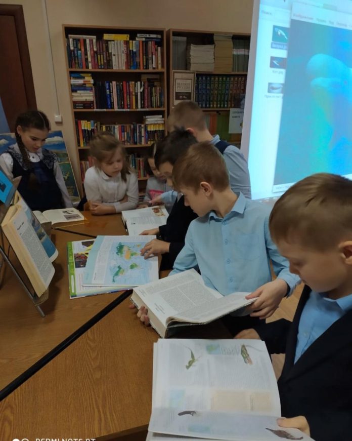 Экологический час «Удивительный мир китов» состоялся в библиотеке № 25