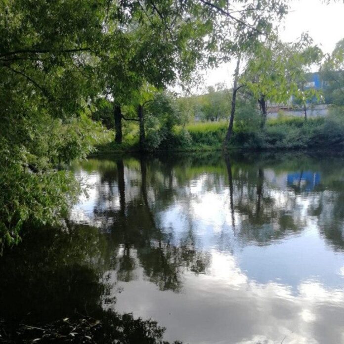 Вниманию подольчан: о загрязнении стоками ручья Неумейка Вниманию подольчан: о загрязнении стоками ручья Неумейка