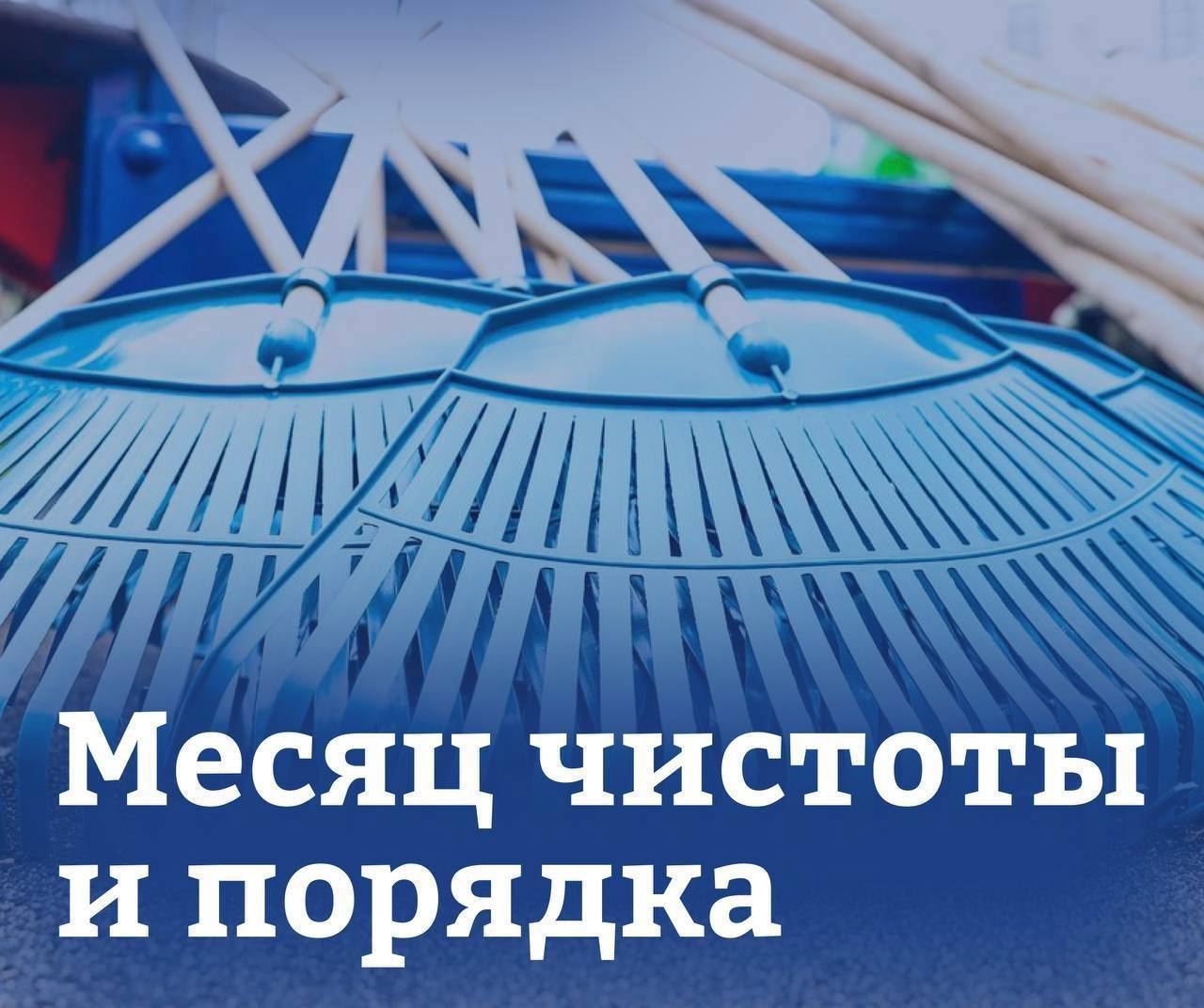 В Подольске идет месячник чистоты и порядка