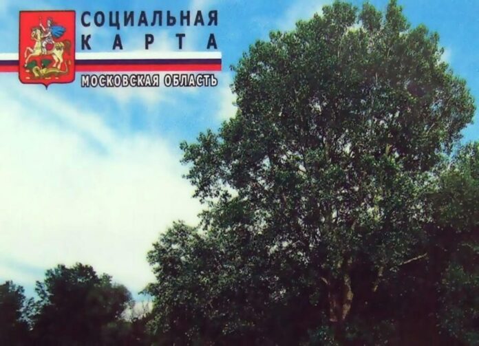 Информация по социальным картам жителя региона Информация по социальным картам жителя региона