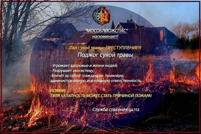 Берегите лес от пожаров! Берегите лес от пожаров!