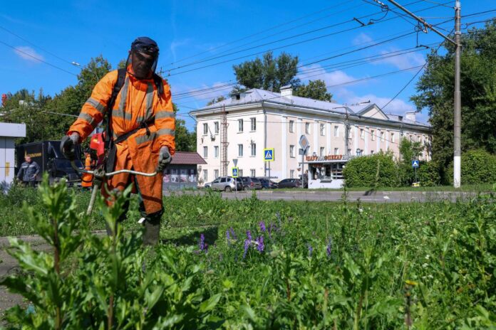 Мониторинг территорий провели в Подольске в двух микрорайонах и деревне Мониторинг территорий провели в Подольске в двух микрорайонах и деревне