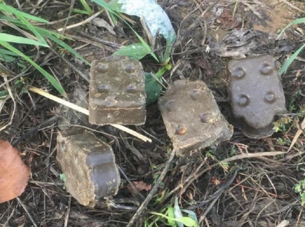 На территориях лесного фонда проводится раскладка вакцины «Рабистав» в целях профилактики бешенства животных На территориях лесного фонда проводится раскладка вакцины «Рабистав» в целях профилактики бешенства животных