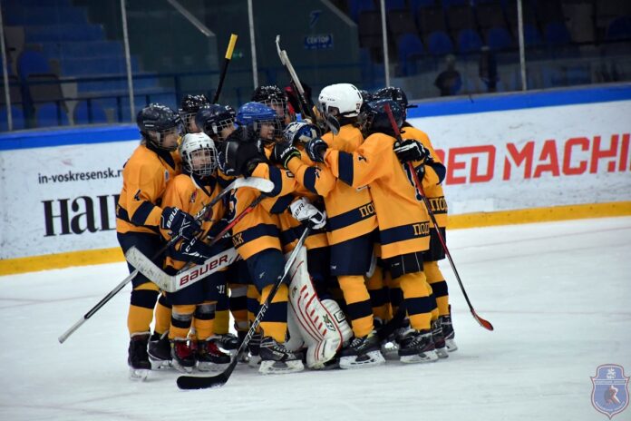 Хоккеистки из Подольска завоевали «золото» Открытого первенства Московской области по хоккею среди девушек Хоккеистки из Подольска завоевали «золото» Открытого первенства Московской области по хоккею среди девушек
