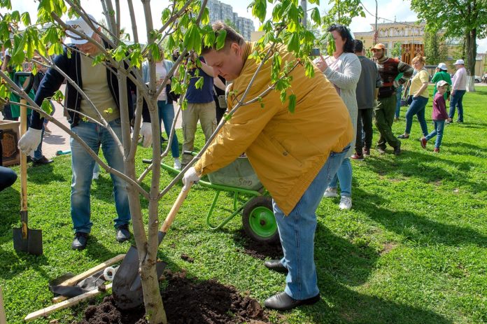 Николай Пестов принял участие в эколого-патриотической акции «Лес Победы» 15 мая