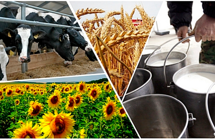 В научной конференции в Нью-Йорке приняли участие работники ВИЖ им. Л.К. Эрнста