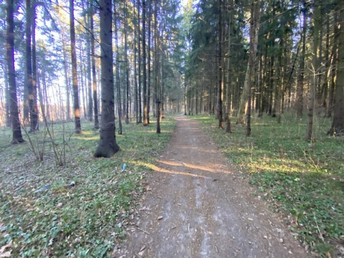 Информируем подольчан об итогах общественных обсуждений по благоустройству лесопарка «Дубровицкий лес» Информируем подольчан об итогах общественных обсуждений по благоустройству лесопарка «Дубровицкий лес»