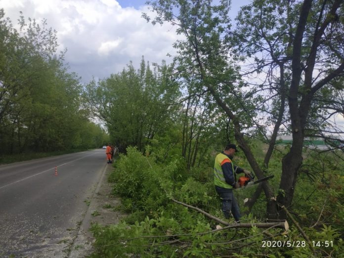 Сотрудники ПКБ приступили к спилу древесной поросли в микрорайоне Климовск