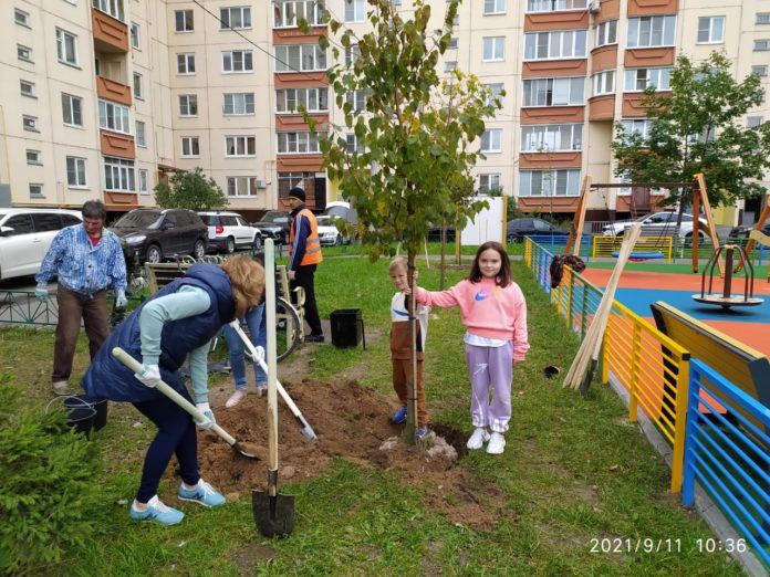 В  Подольске прошла экологическая акция «Наш лес. Посади свое дерево» В  Подольске прошла экологическая акция «Наш лес. Посади свое дерево»