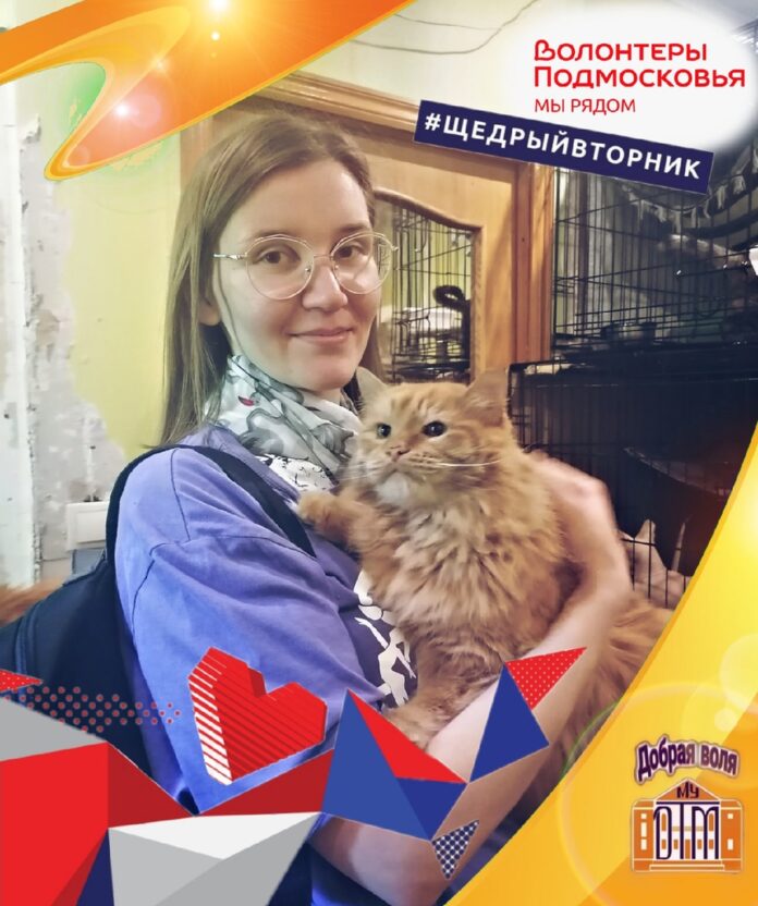 Подольское волонтерское объединение принимает участие в акции “Щедрый вторник”