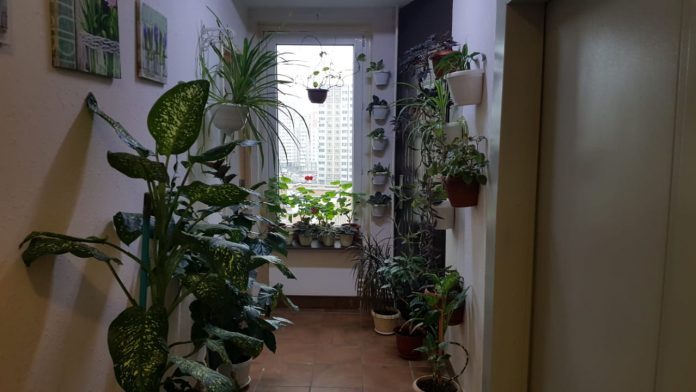 В Подольске продолжаются проверки по содержанию жилого фонда МКД В Подольске продолжаются проверки по содержанию жилого фонда МКД