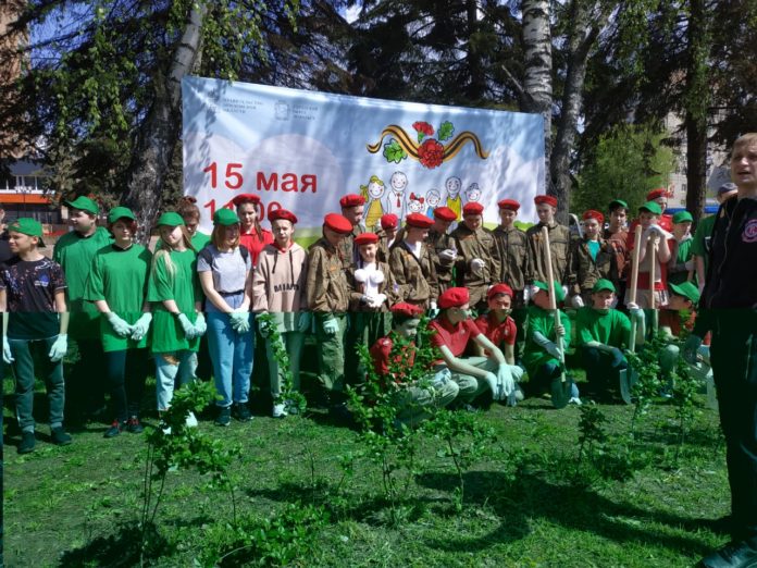 В эколого-патриотической акции «Лес Победы» приняли участие юнармейцы Городского округа Подольск
