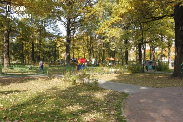 Приглашаем всех желающих принять участие в опросе на тему благоустройства парка «Дубрава»