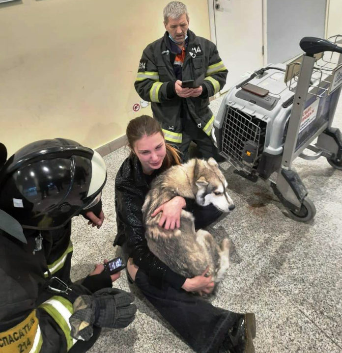 Подольские спасатели вызволили собаку из плена клетки