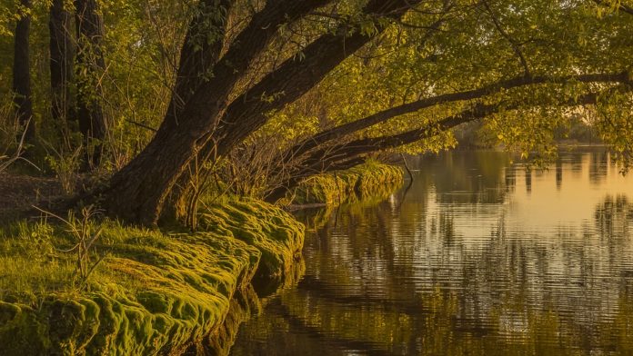 Жители Подольска могут получить сведения из государственного водного реестра в режиме онлайн
