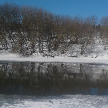 Толщина льда на реке Пахре 24 марта Толщина льда на реке Пахре 24 марта