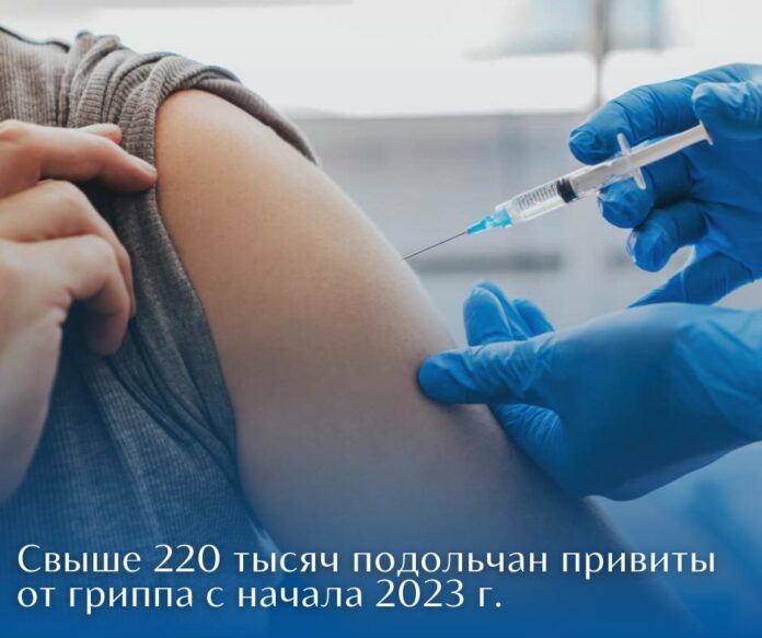 Свыше 220 тысяч жителей Подольска привито от гриппа с начала года