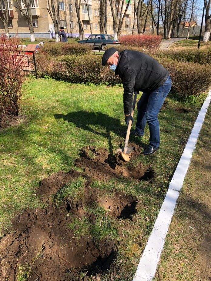 В поселке Дубровицы высадили кустарники возле памятника В поселке Дубровицы высадили кустарники возле памятника
