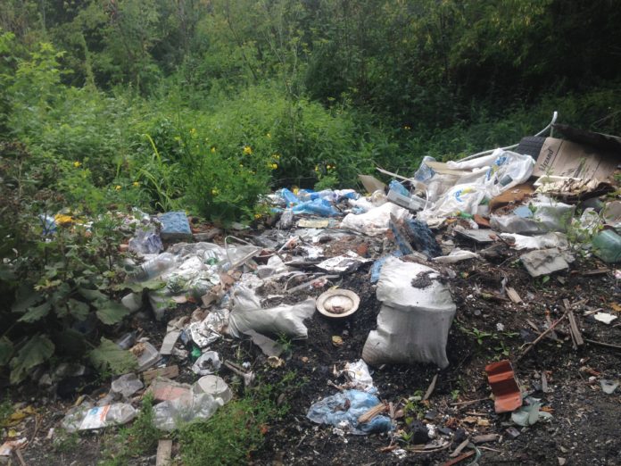 В Подмосковье ликвидируют нелегальные свалки В Подмосковье ликвидируют нелегальные свалки