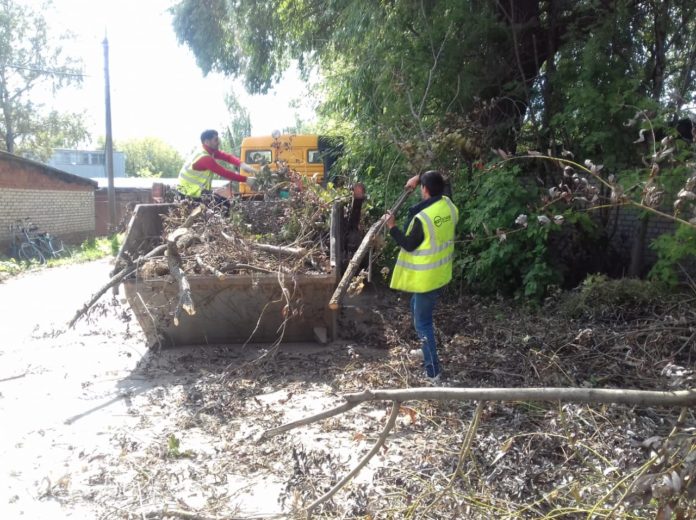 Ежедневно  коммунальщики Подольска проводят работы по обрезке и удалению аварийных деревьев Ежедневно  коммунальщики Подольска проводят работы по обрезке и удалению аварийных деревьев