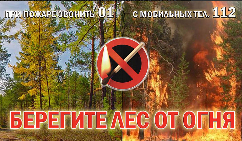 Соблюдайте правила пожарной безопасности в лесах!