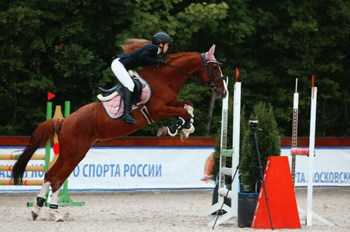 В Подольске состоялся 22-й турнир Кубок памяти Александра Васильевича Никулина В Подольске состоялся 22-й турнир Кубок памяти Александра Васильевича Никулина