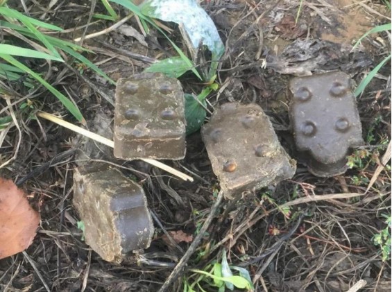 Ветеринарная станция информирует Ветеринарная станция информирует