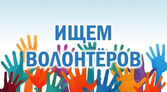 Центр занятости ищет волонтеров