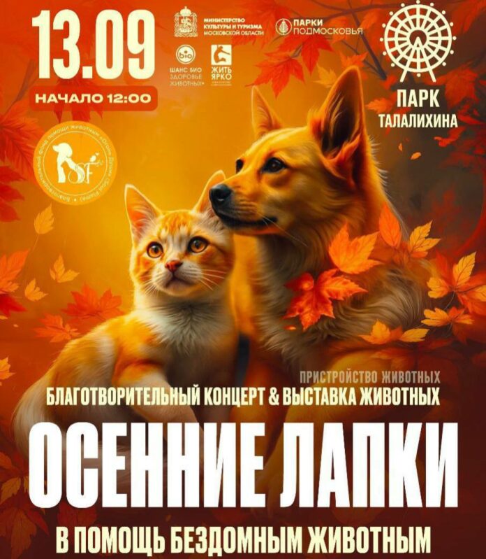 Выставка-пристройство животных пройдет в подольском парке