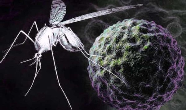 Информация для подольчан Информация для подольчан