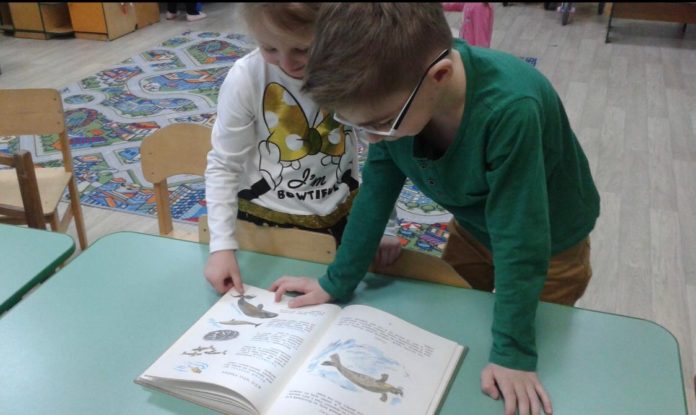 В библиотеке № 25 поселка Дубровицы состоялся экологический час «Лесные тайнички»