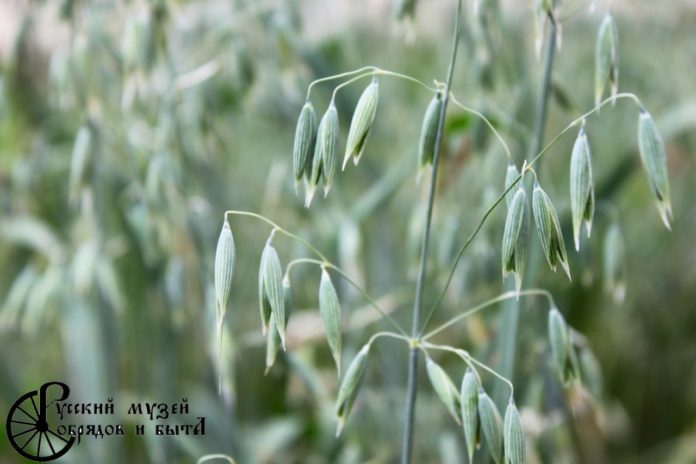 Русский музей обрядов и быта приглашает на экскурсионную программу Русский музей обрядов и быта приглашает на экскурсионную программу