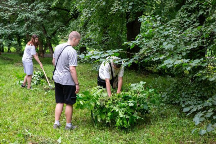 Почти 500 подростков трудоустроены в Подольске этим летом в учреждениях молодежной политики  Почти 500 подростков трудоустроены в Подольске этим летом в учреждениях молодежной политики